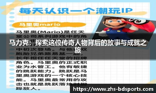 半岛体育官网