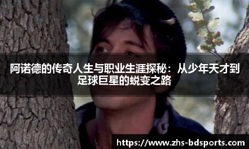 半岛体育官方网站
